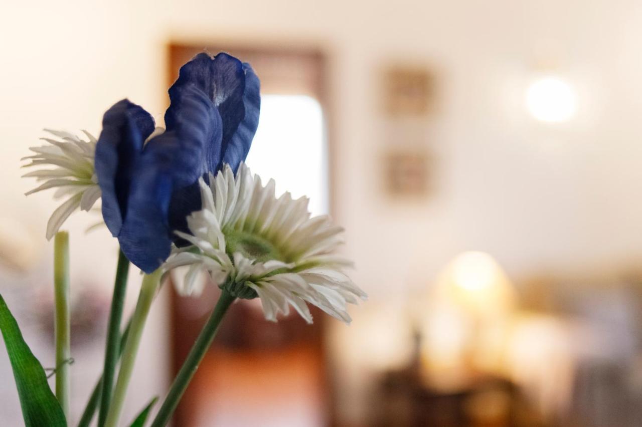 Casa Rural La Loma Nohales Eksteriør billede